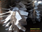 �T�� (13)